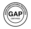 GAP